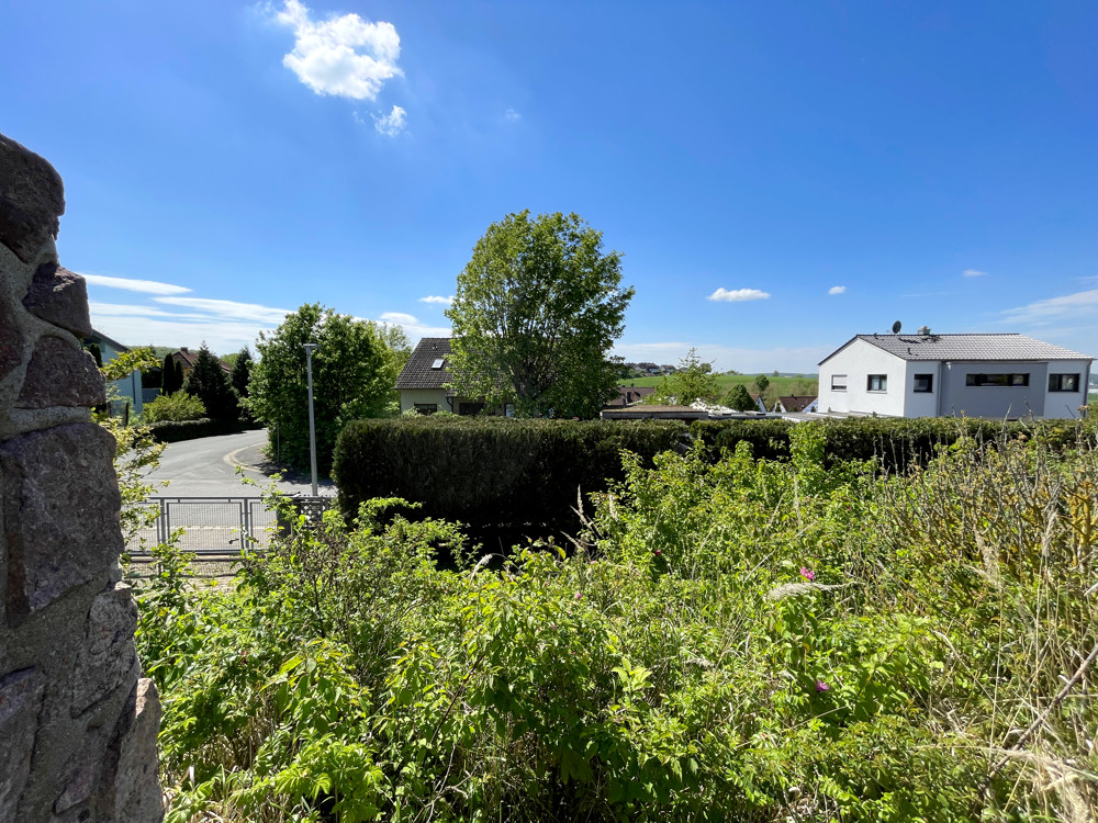 Ihr Ausblick