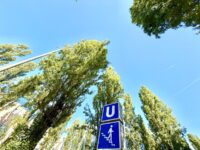 Die U3 & U6 Giselastraße - in fünf Minuten zu Fuß