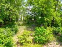 Blick von Ihrem Grundstück zur Lindenallee