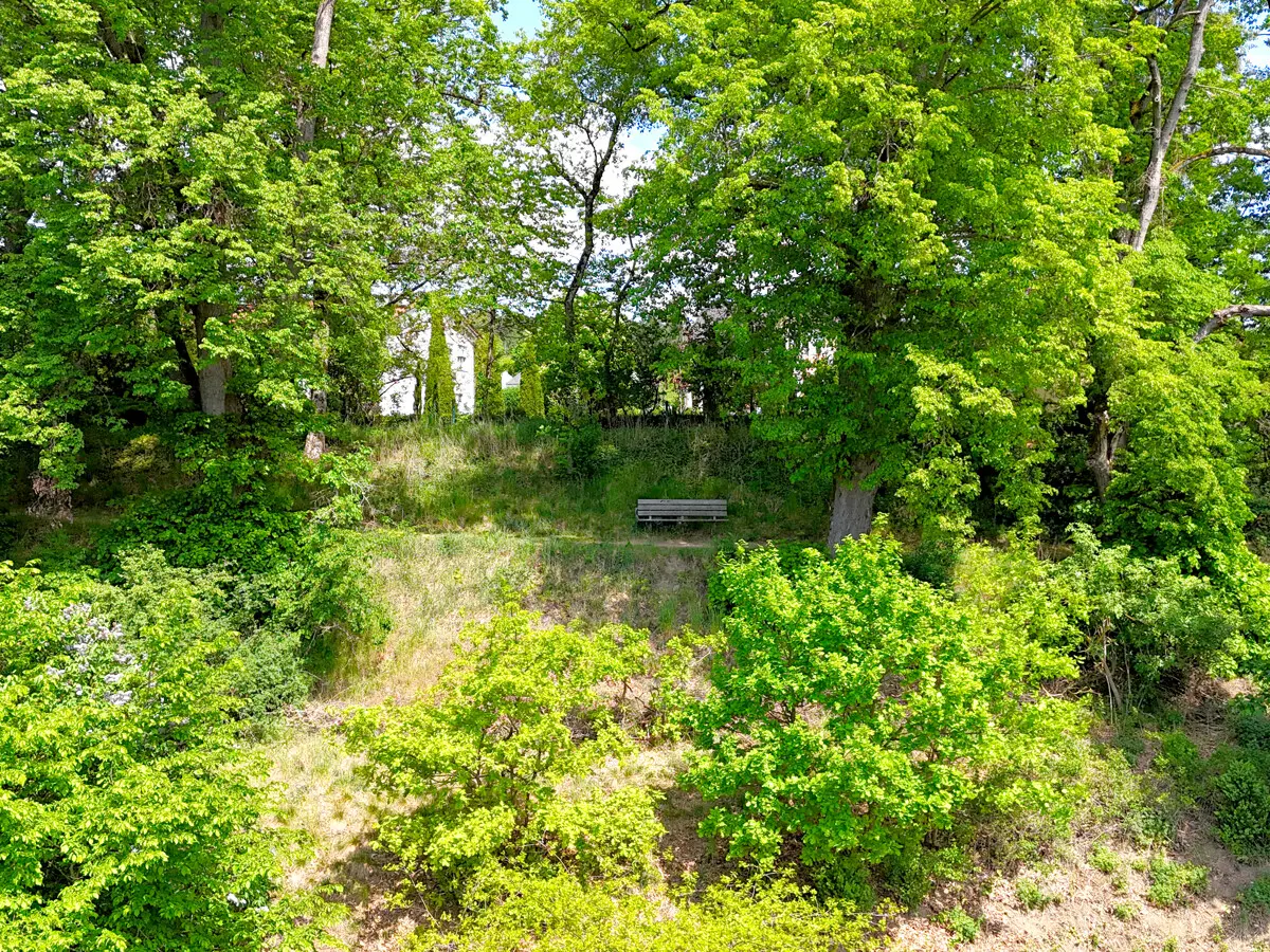 Blick von Ihrem Grundstück zur Lindenallee