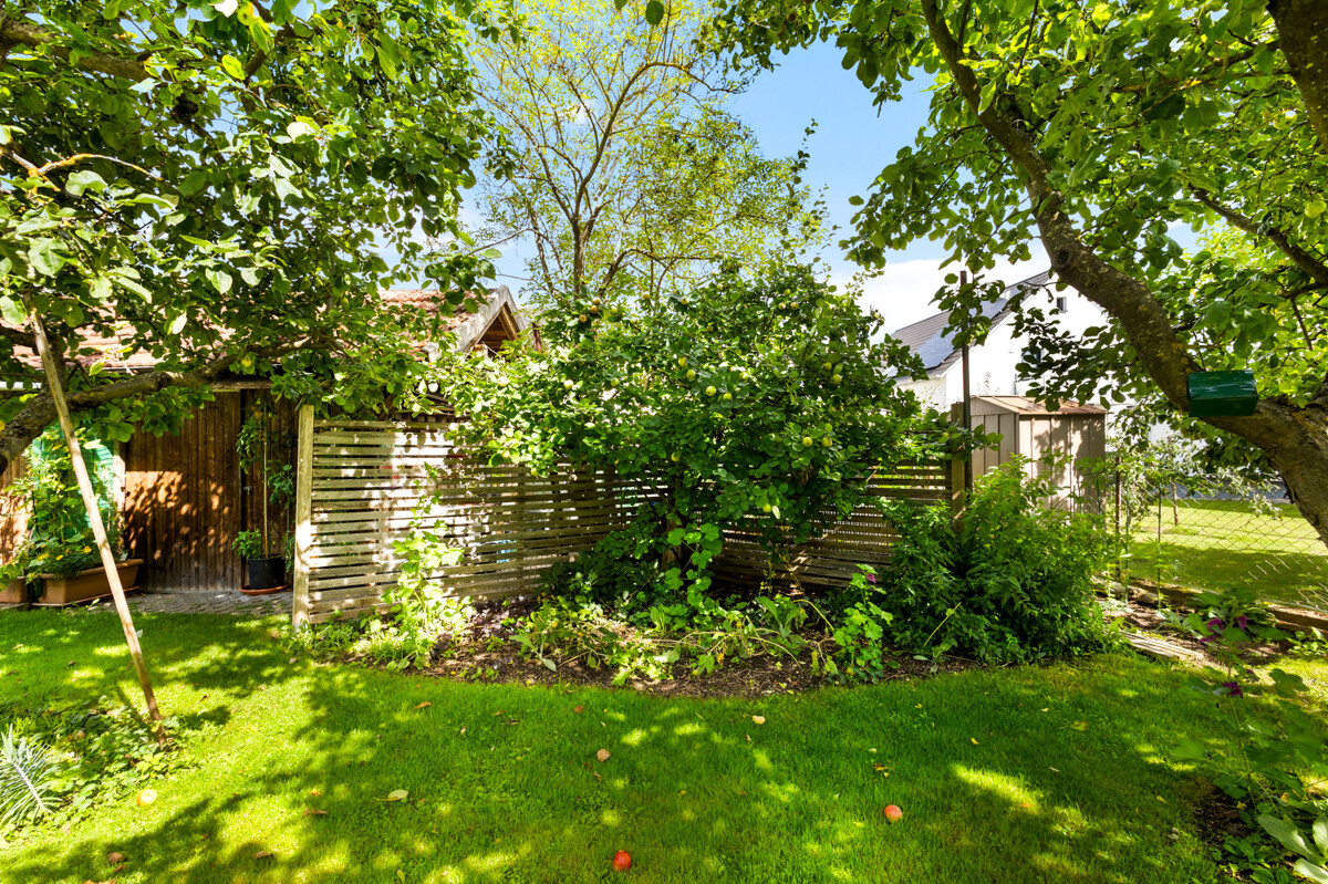 10 Garten