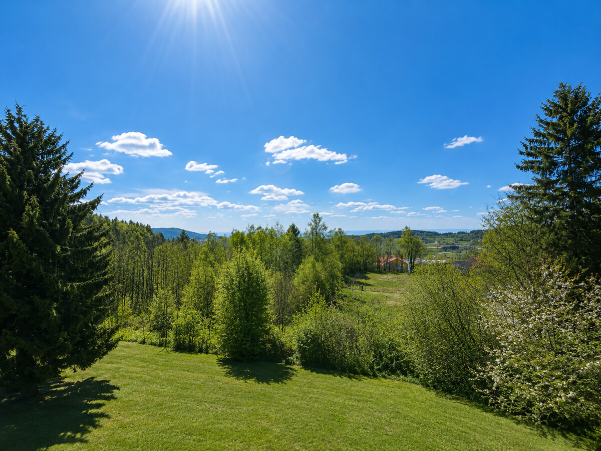 Ausblick Balkon