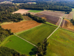 Fläche 2 - Exklusives Angebot: landwirtschaftliche Flächen