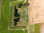 Fläche 1 Foto b - Exklusives Angebot: landwirtschaftliche Flächen