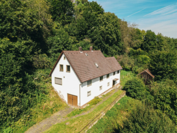 Ein Paradies für Naturliebhaber! Großes Grundstück mit reichlich Potential!, 93176 Beratzhausen, Einfamilienhaus