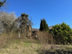 H14 - Erwecken Sie eine alte Villa zu neuem Leben oder entwickeln Sie etwas Neues!