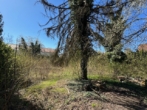 H17 - Erwecken Sie eine alte Villa zu neuem Leben oder entwickeln Sie etwas Neues!