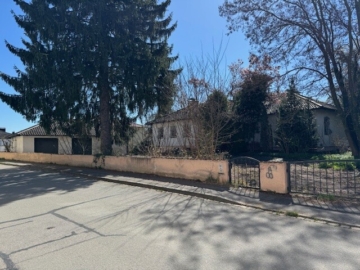 Erwecken Sie eine alte Villa zu neuem Leben oder entwickeln Sie etwas Neues!, 94447 Plattling, Einfamilienhaus
