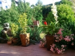 Terrasse Sommer - Ihr neues Zuhause in Ziegetsdorf – Modernisiertes Zweifamilienhaus mit Gartenparadies und PV-Anlage!