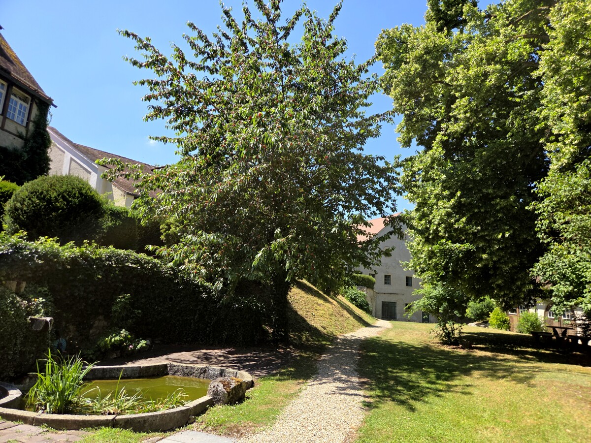 Schlosspark