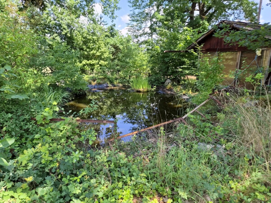 Fischteich