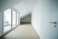 DG