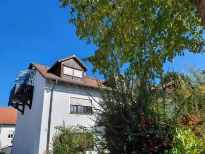 Rgbg-Graß: attraktive 2-Zi-Whg mit toller Extra-Ausstattung!, 93053 Regensburg, Etagenwohnung