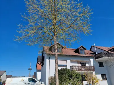 Rgbg-Graß: attraktive 2-Zi-Whg mit toller Extra-Ausstattung!, 93053 Regensburg, Etagenwohnung