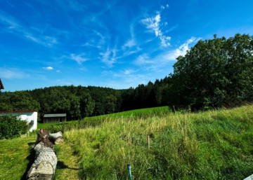 Beste Aussichten! Großzügiges Grundstück mit Blick ins Grüne, 93173 Wenzenbach, Wohngrundstück