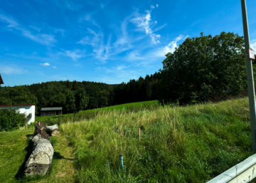 Unverbaubarer Blick ins Grüne! Traumgrundstück in Wenzenbach, 93173 Wenzenbach, Wohngrundstück