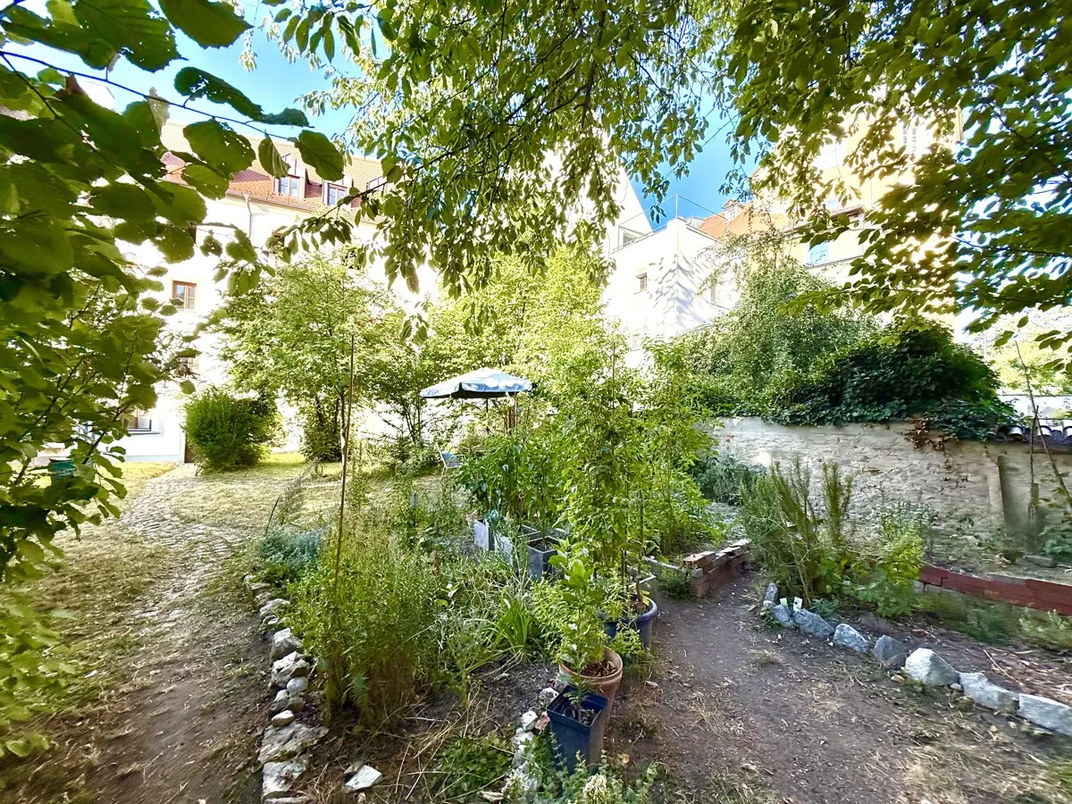 Im Gemüsegarten Ihres Mehrfamilienhauses gen Süden