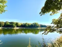Noch mehr Grün und Ruhe an der Donau