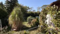 Garten Ki optimiert