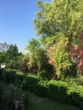 Blick ins Grüne - Die perfekte Kapitalanlage: Gepflegte Ein-Zimmer-Wohnung mit Blick ins Grüne!