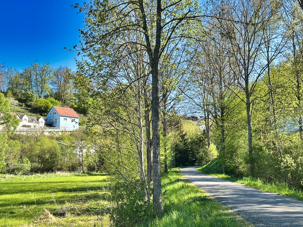 Falkensteinradweg