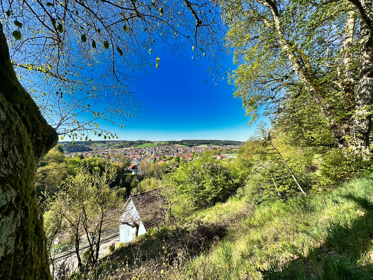 Blick über Ihr Grundstück
