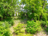 Blick von Ihrem Grundstück zur Lindenallee