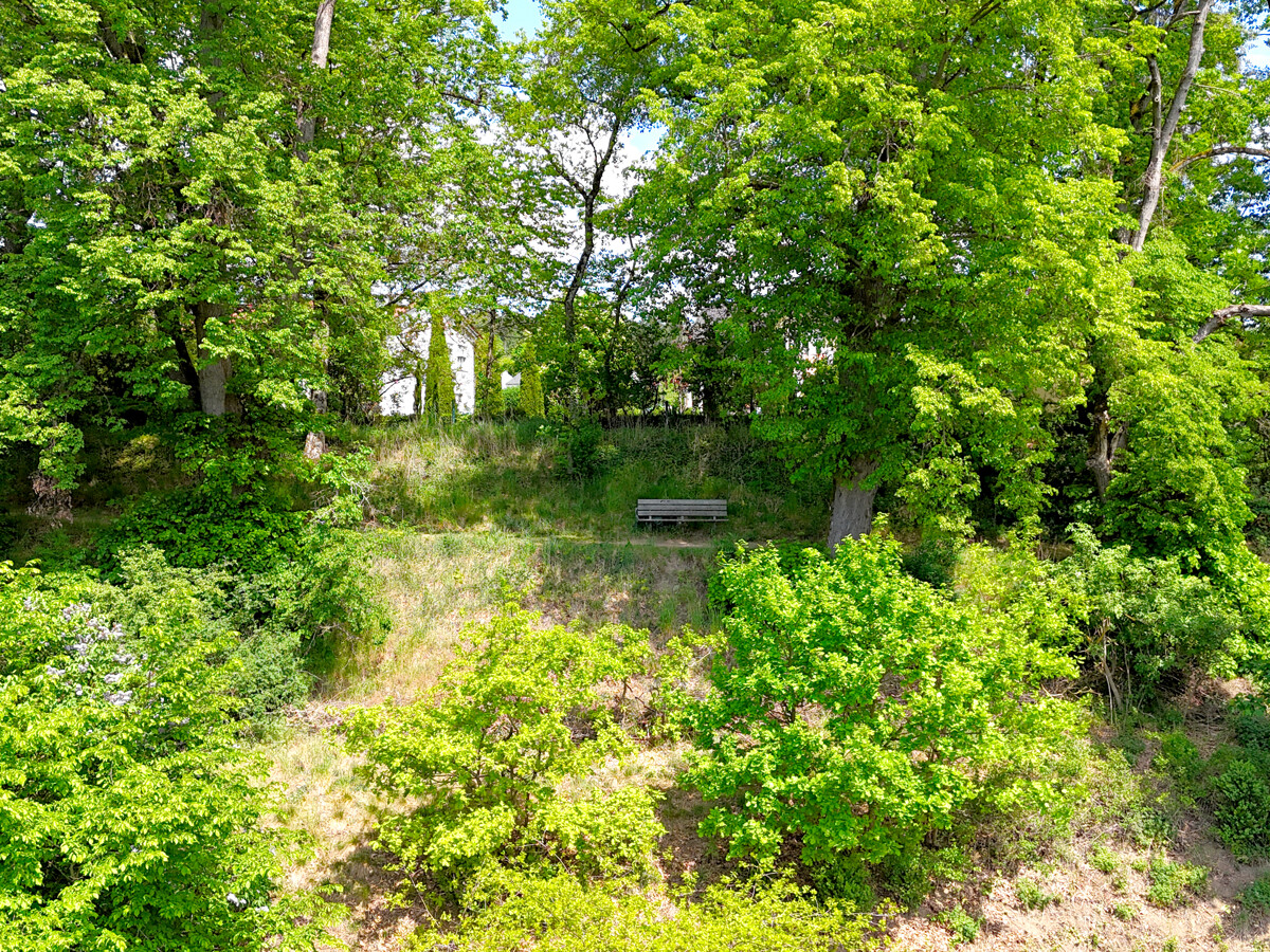 Blick von Ihrem Grundstück zur Lindenallee