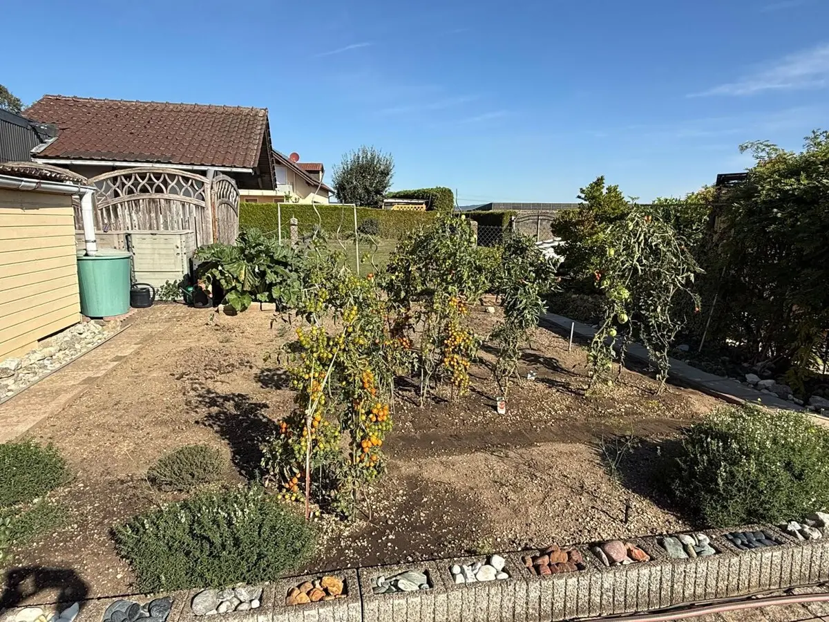 Gemüse- und Kräutergarten