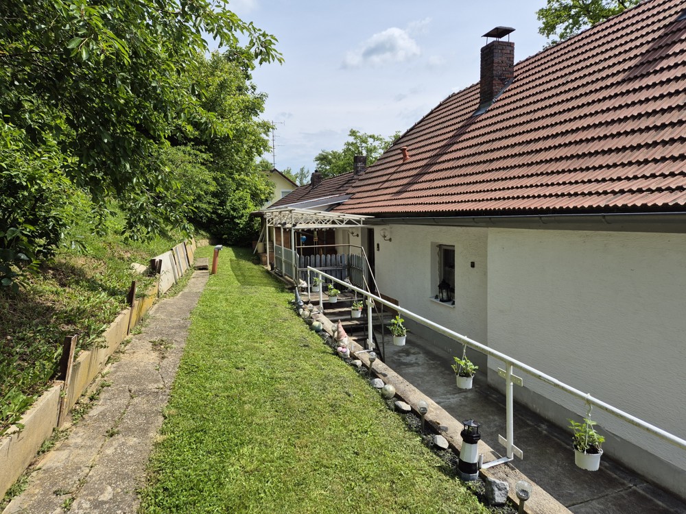 Zugang mit Terrasse Whg. 2