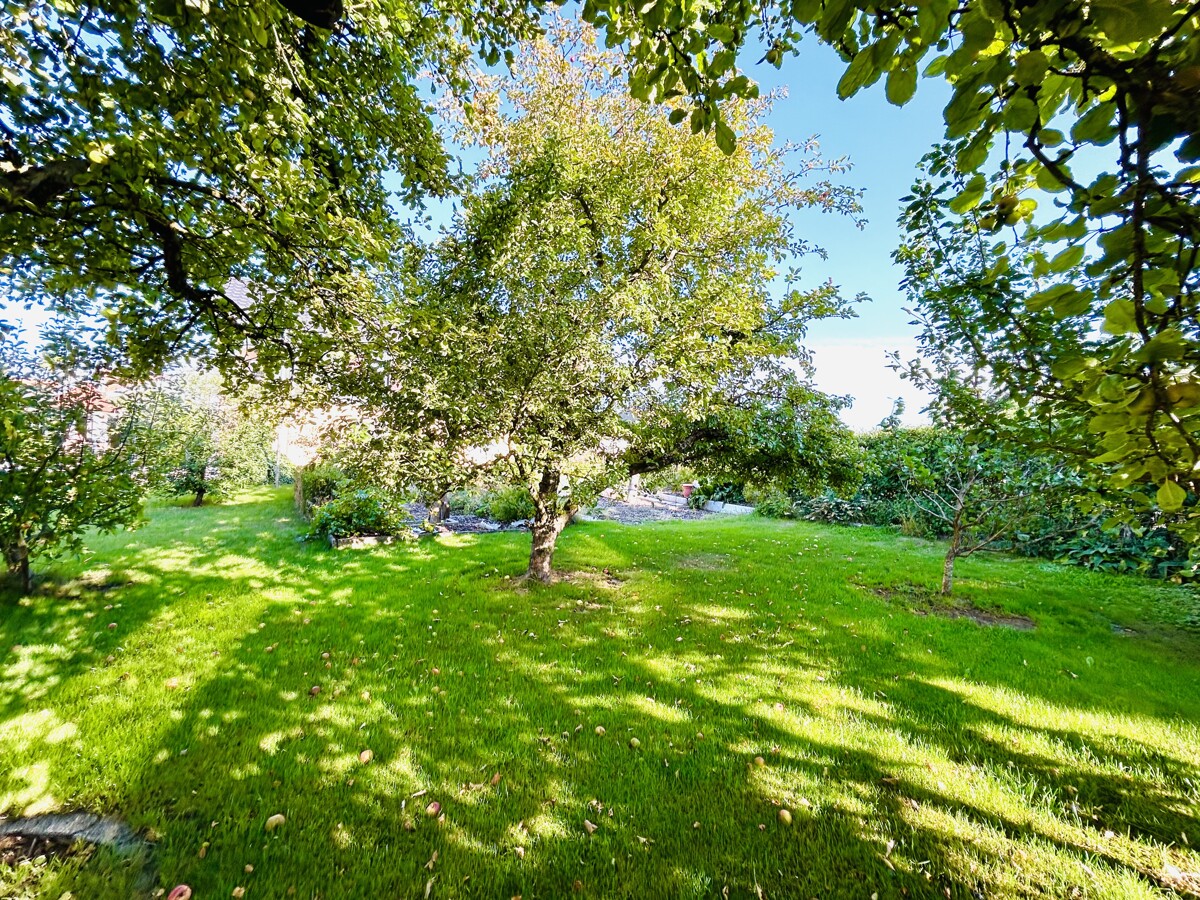 Ihr Obstgarten von Süd-Osten