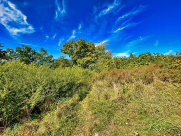 Burglengenfeld mit besten Aussichten!, 93133 Burglengenfeld, Wohngrundstück