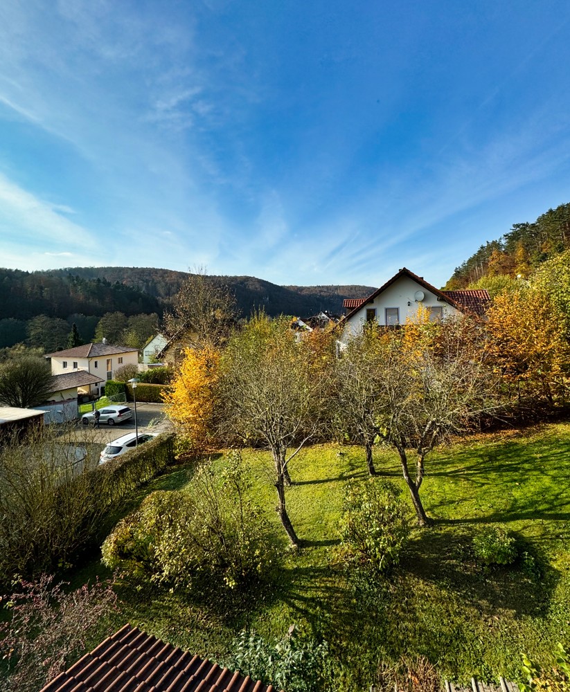 Blick aus dem Kinderzimmer 1