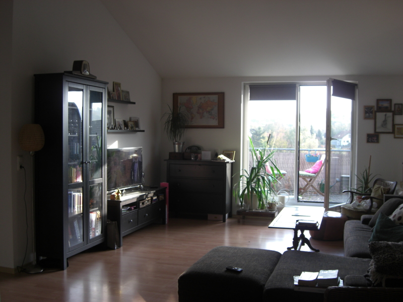 Bild