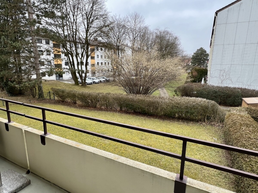 Blick ins grüne