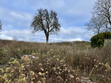 Im Grünen zuhause – in der Stadt in kurzer Zeit, 93161 Sinzing Bergmatting, Wohngrundstück
