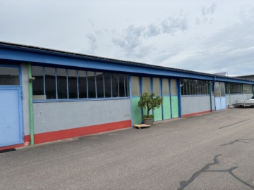 Lagerfläche oder Mehr?, 93128 Regenstauf, Halle