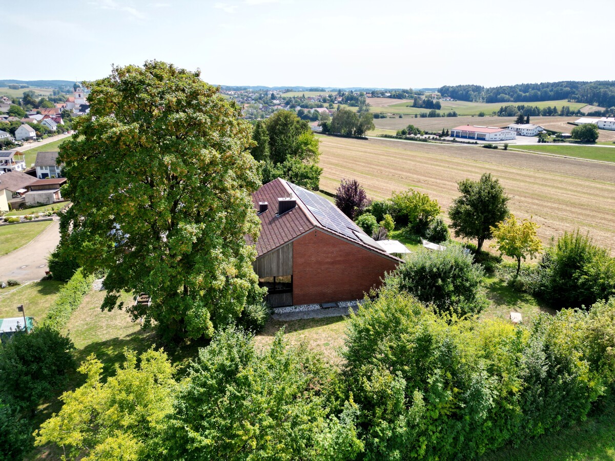 Großes eingewachsenes Grundstück