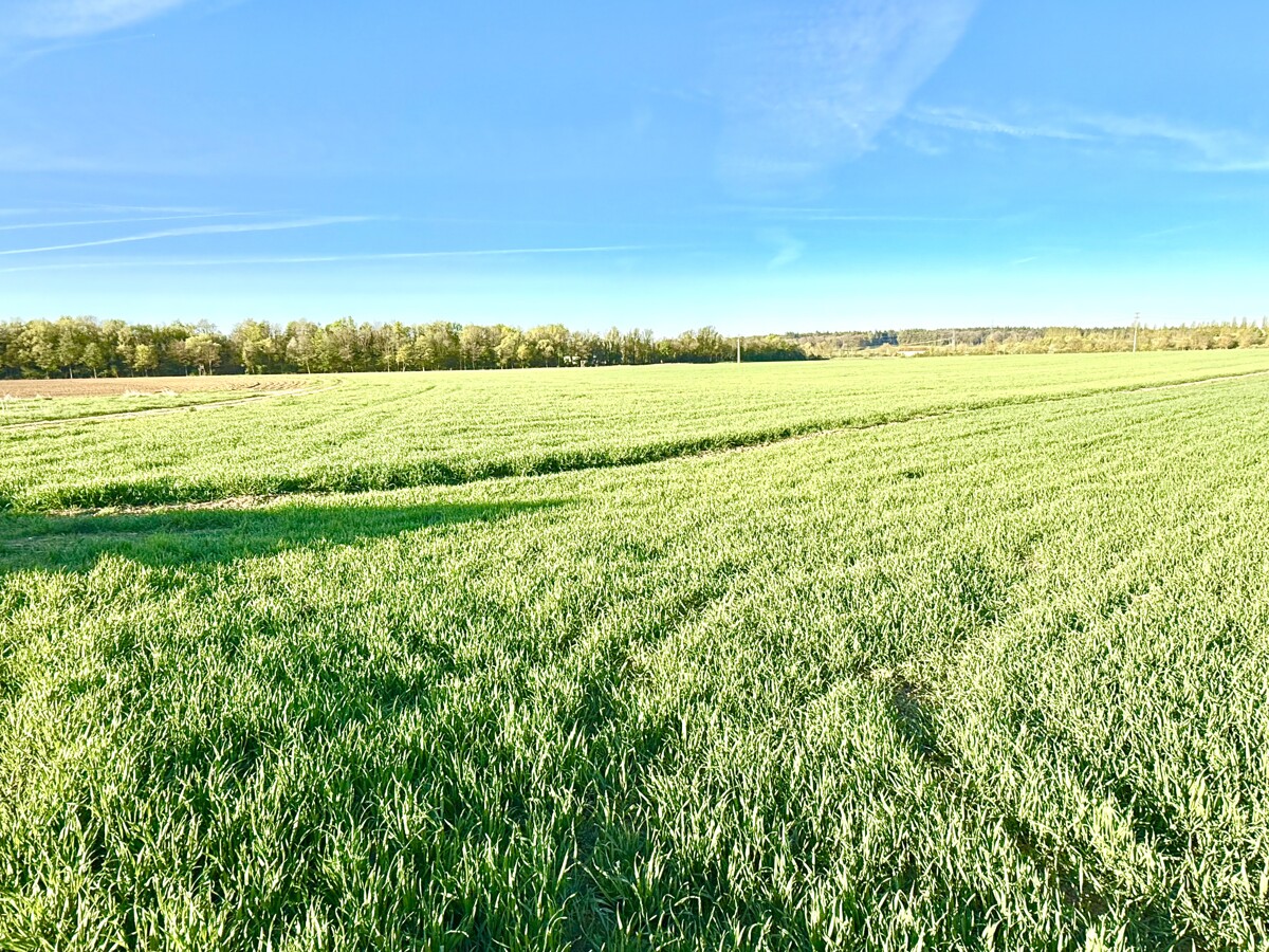 Die Natur vor Ihrer Haustür