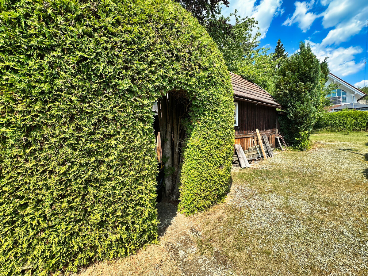 In Ihrem Garten