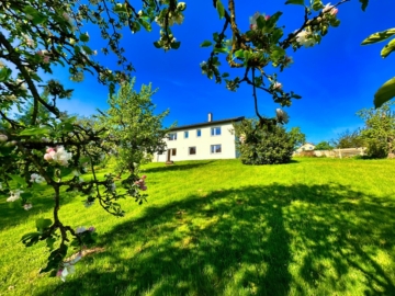 Tierisch viel Platz!, 93173 Wenzenbach, Einfamilienhaus