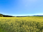 Der Oberpfälzer Wald bei Gleiritsch