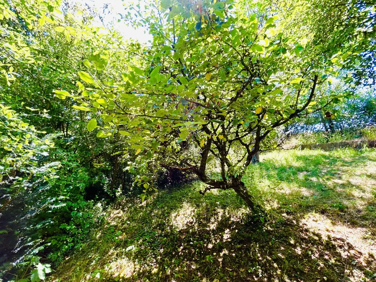In Ihrem Garten gen Süden & Westen