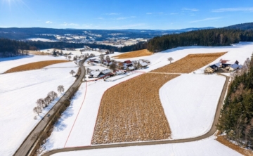 Ländliches Anwesen mit weitläufigem Grundstück und Reit-/Bewegungsplatz, 93185 Michelsneukirchen, Einfamilienhaus
