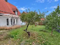 Garten KI optimiert