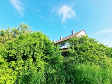 Ihre Oase und Ihr Refugium am Galgenberg!, 93053 Regensburg, Reiheneckhaus