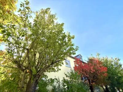 Im Grünen, in Ruhe und mit Blick! Ihre 2 Zimmer Wohnung in Beratzhausen!, 93176 Beratzhausen, Dachgeschosswohnung