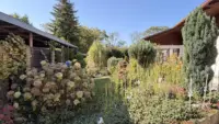 Garten Ki optimiert
