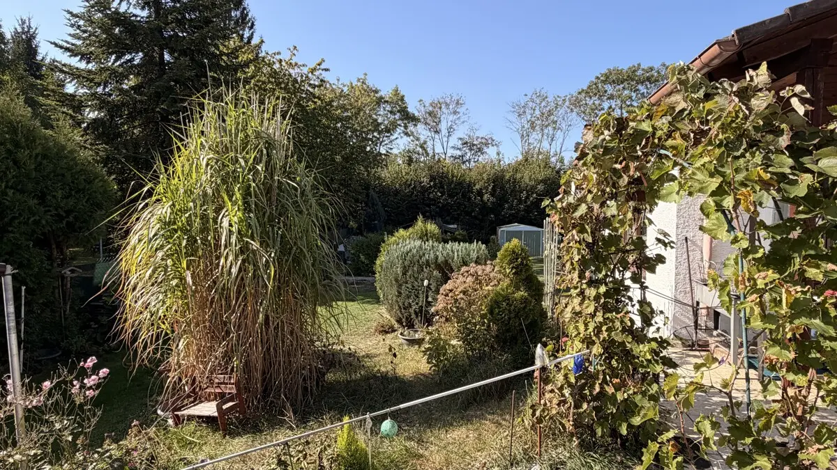 Garten Ki optimiert
