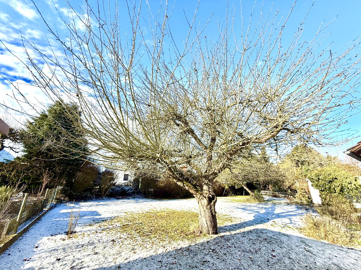 Ihr Garten von Osten